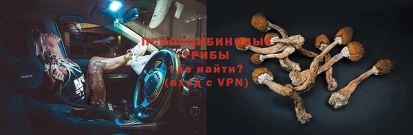 герыч Арсеньев