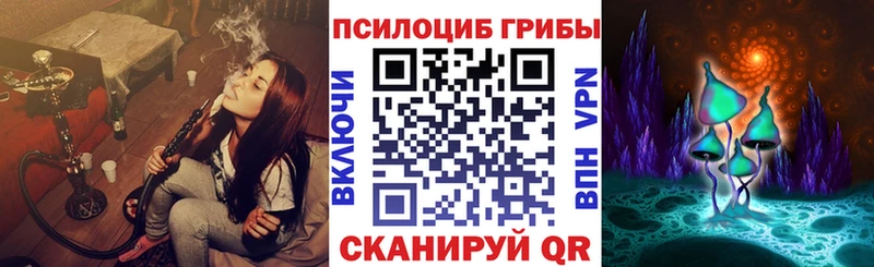 где купить наркоту  Дыгулыбгей  Псилоцибиновые грибы мухоморы 